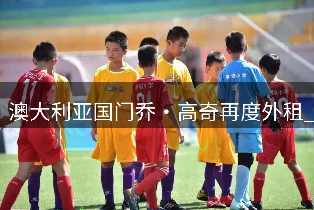 澳大利亚国门乔·高奇再度外租 新赛季将效力林肯城